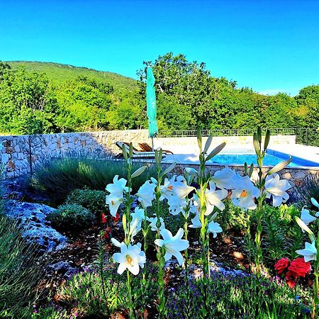 Relaxing Dalmatian House In Village Ljubitovica 外观 照片