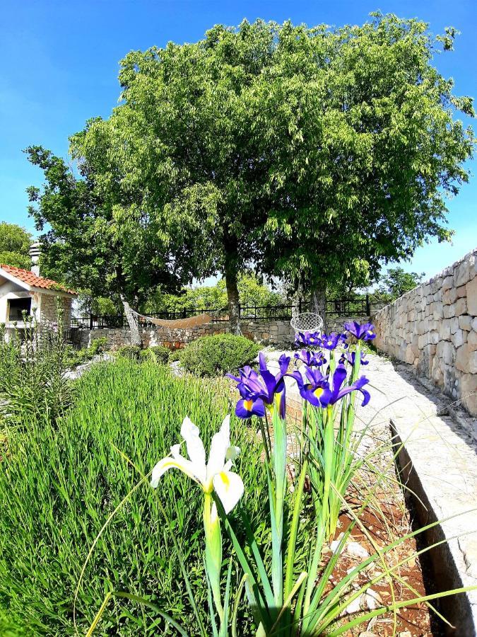 Relaxing Dalmatian House In Village Ljubitovica 外观 照片