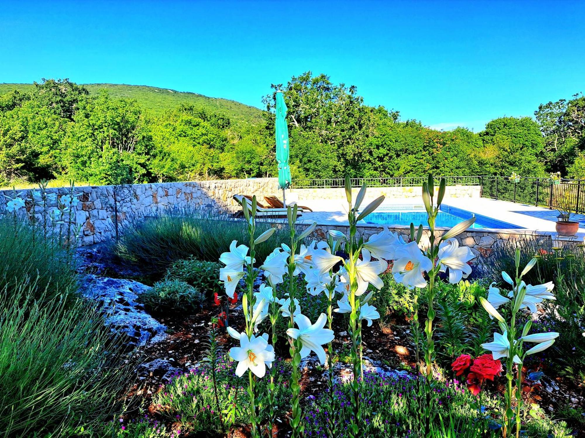 Relaxing Dalmatian House In Village Ljubitovica 外观 照片
