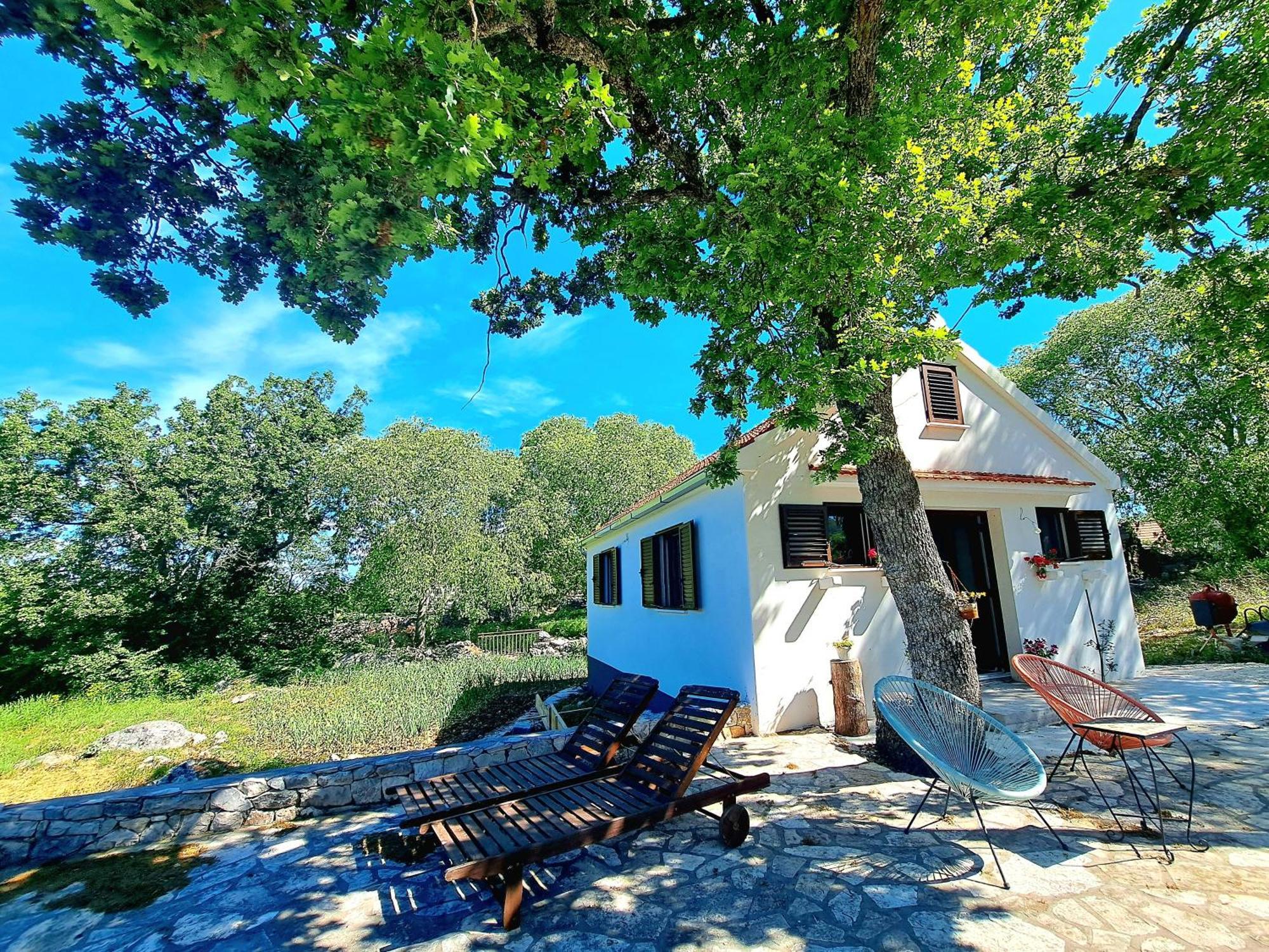 Relaxing Dalmatian House In Village Ljubitovica 外观 照片
